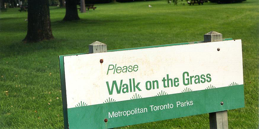 walk-on-the-grass-toronto