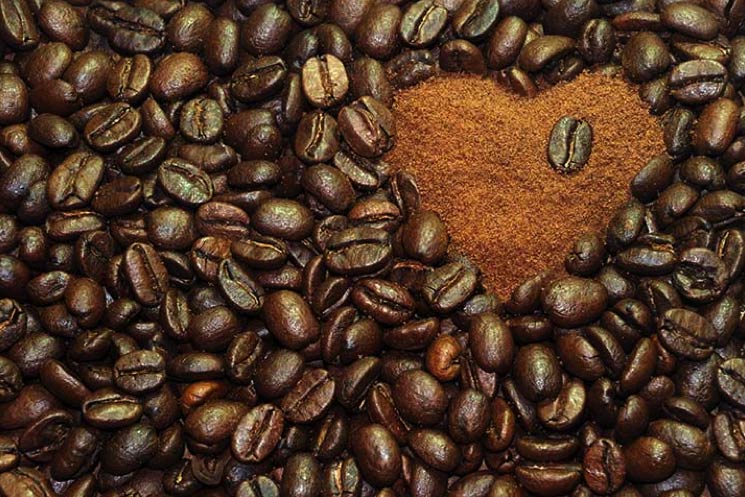 Coffee grains - Barista