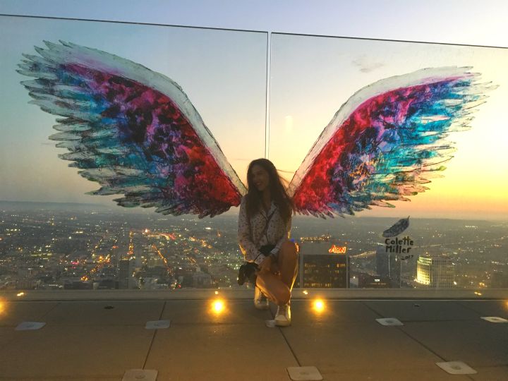 skyspace LA wings view