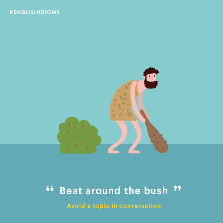 beat around the bush idiom